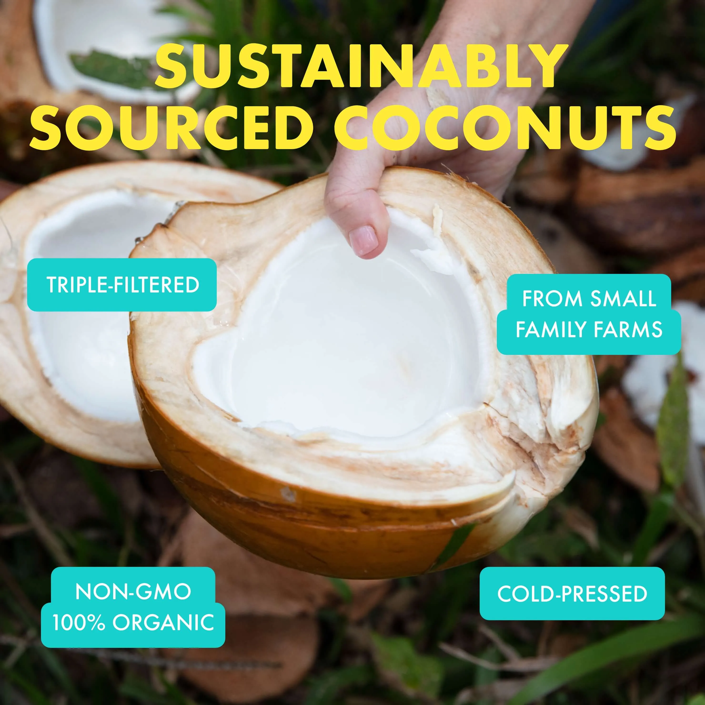 Mini 100% Organic Coconut Melt