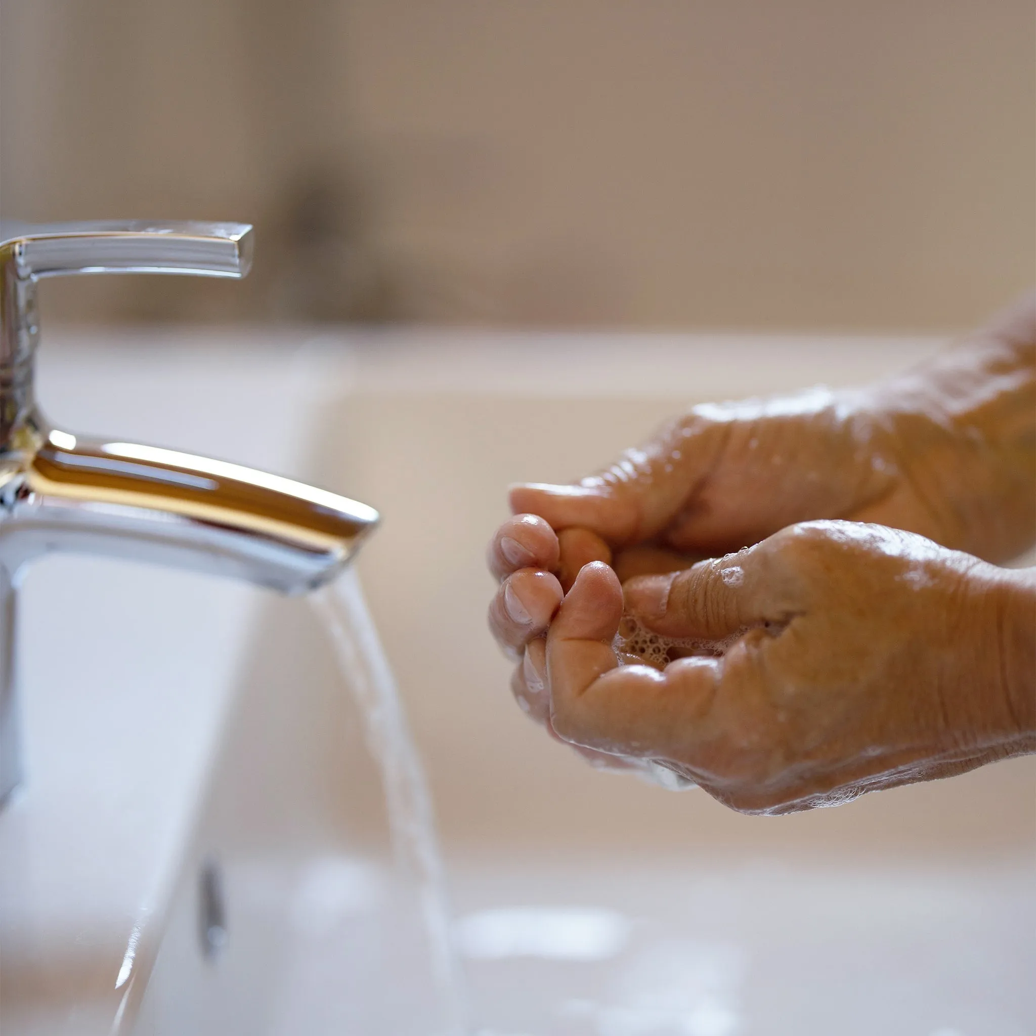 Organic Hand   Body Wash